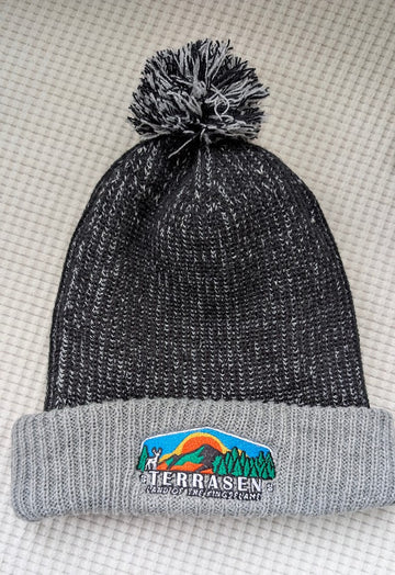 Sample Sale: Terrasen Grey/Blk Beanie